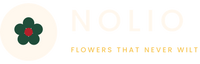 Nolio